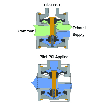 Flow Path Section Drawings for Diaphragm Poppet Valve how diaphragm poppet valve works